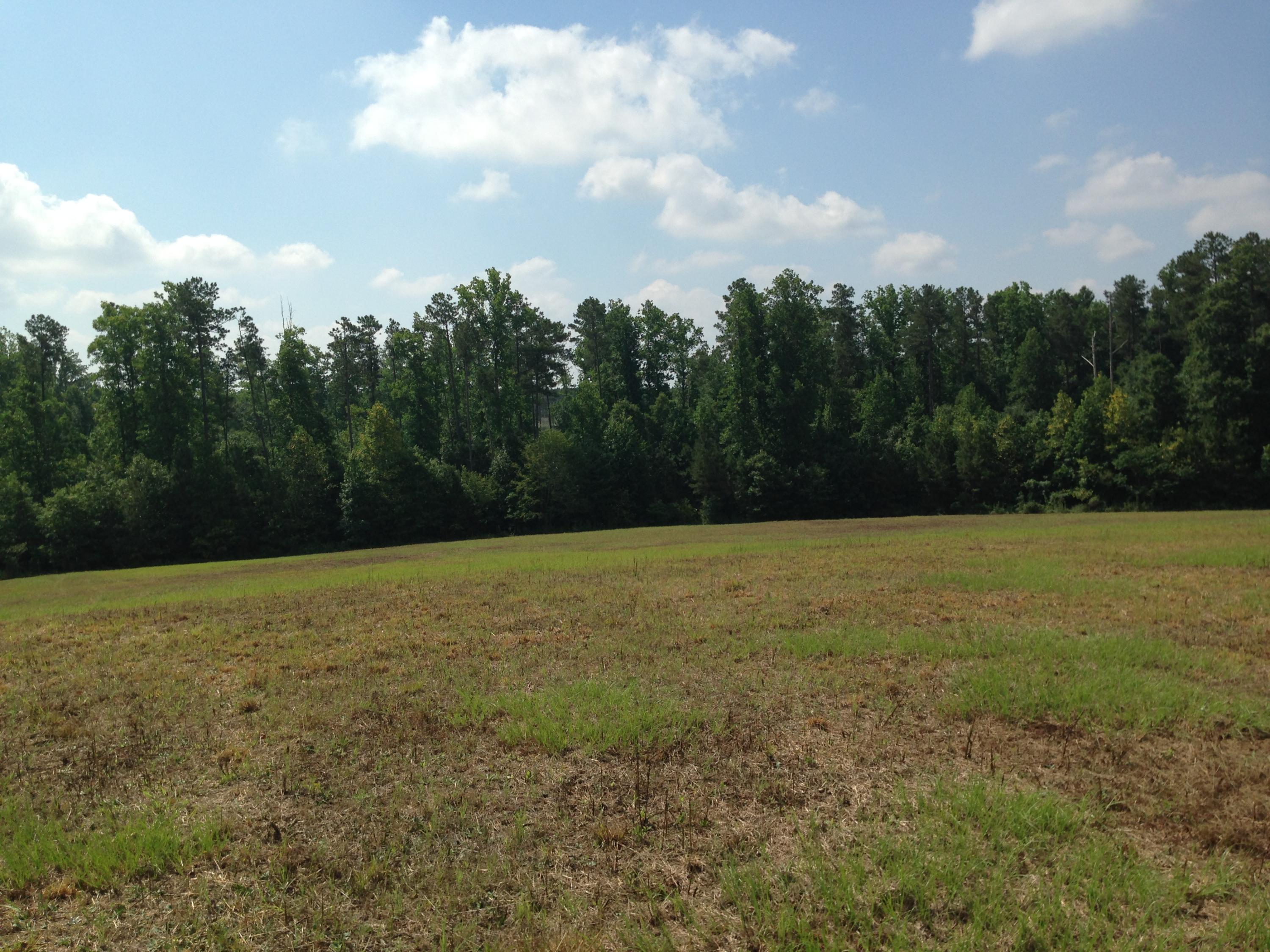 19 Bracken Hill Road Cameron, NC 28326 - Photo 2 of 6 IMG_0467
