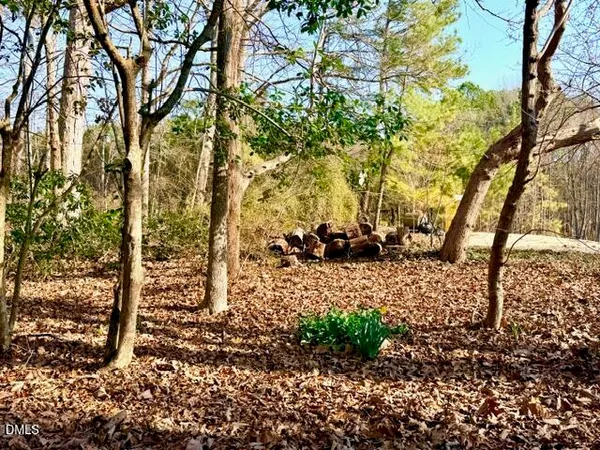 a view of outdoor space with lots of trees