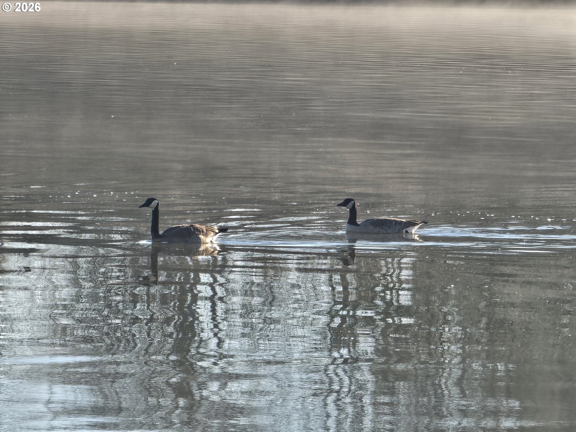 24600 Northwest St Helens Road, Unit M50 Portland, OR 97231 - Photo 25 of 27