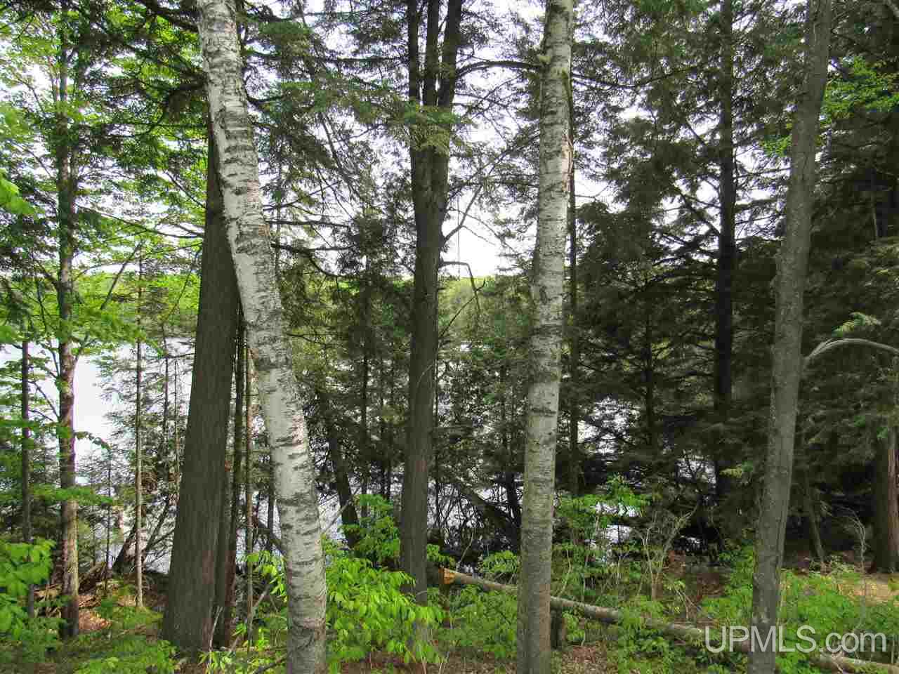 Tbd Co Rd 442, Unit 4 Rapid River, MI 49878 - Photo 6 of 10