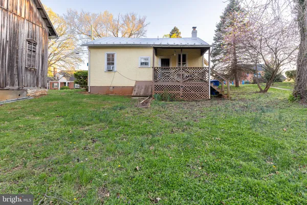 a view of a yard with plants and a large tree