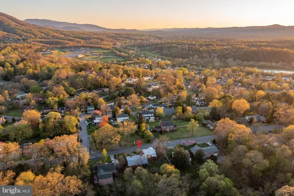 a view of a small house with a small yard and a large tree