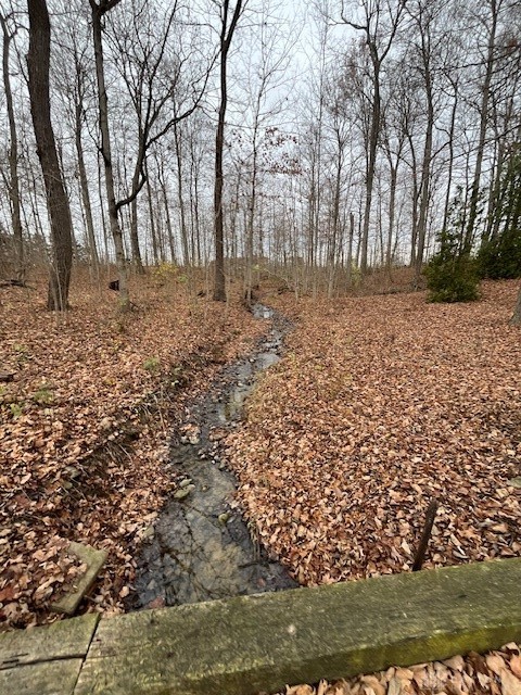 539 Rush Road New Paris, OH 45347 - Photo 28 of 43 Gallery Image 28