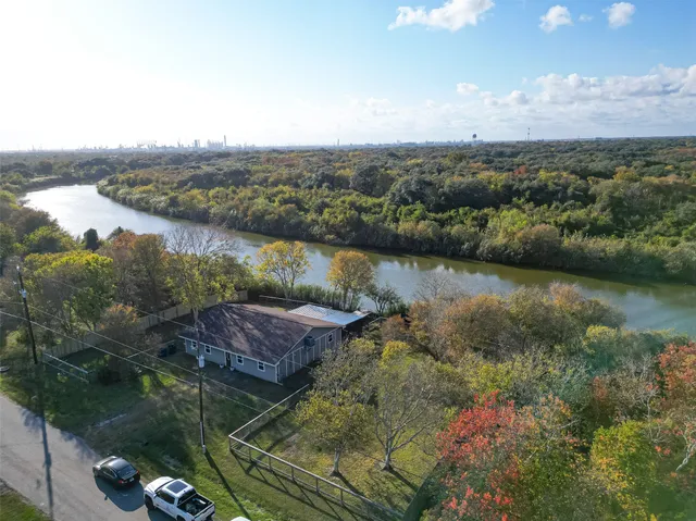 a view of a garden with an umbrella
