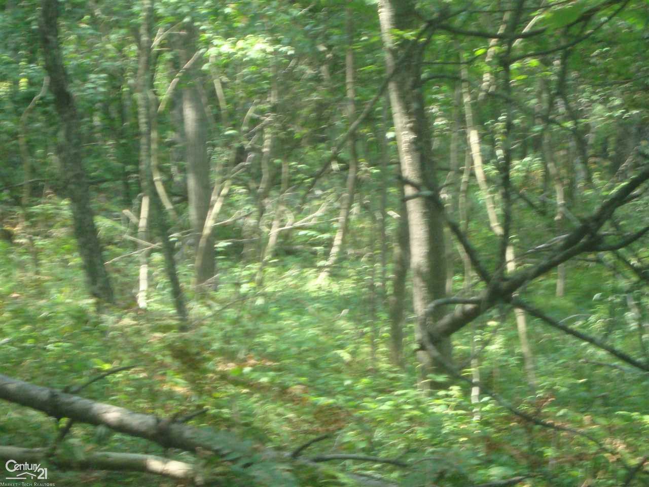 1390 West Youngs Road Gladwin, MI 48624 - Photo 58 of 75