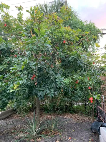 $2,800 | 1345 West 34th Street, Riviera Beach, FL 33404