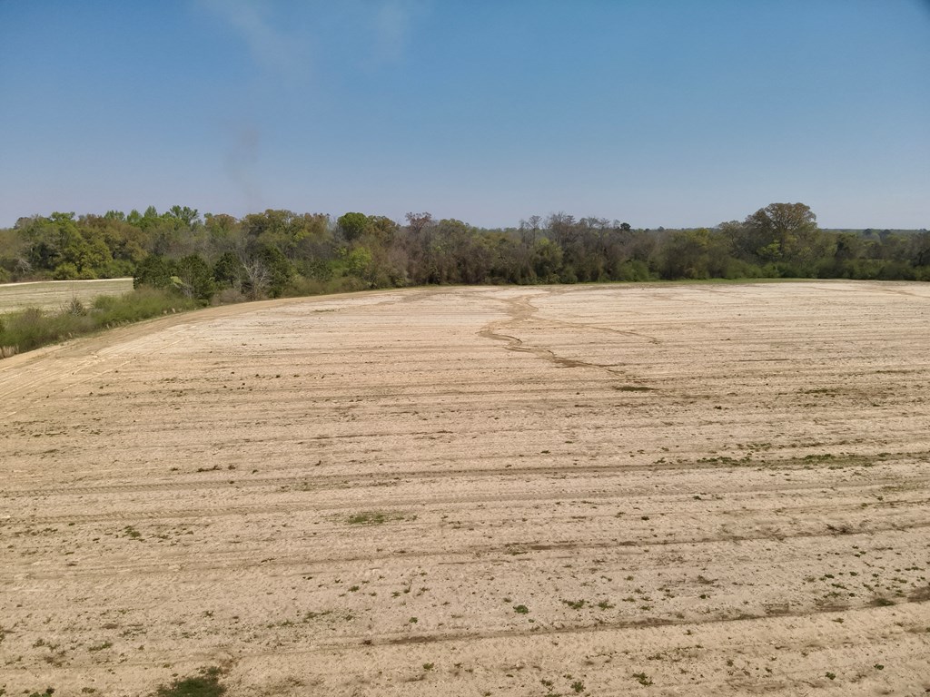 13-acres Dillard Road Pansey, AL 36370 - Photo 8 of 8