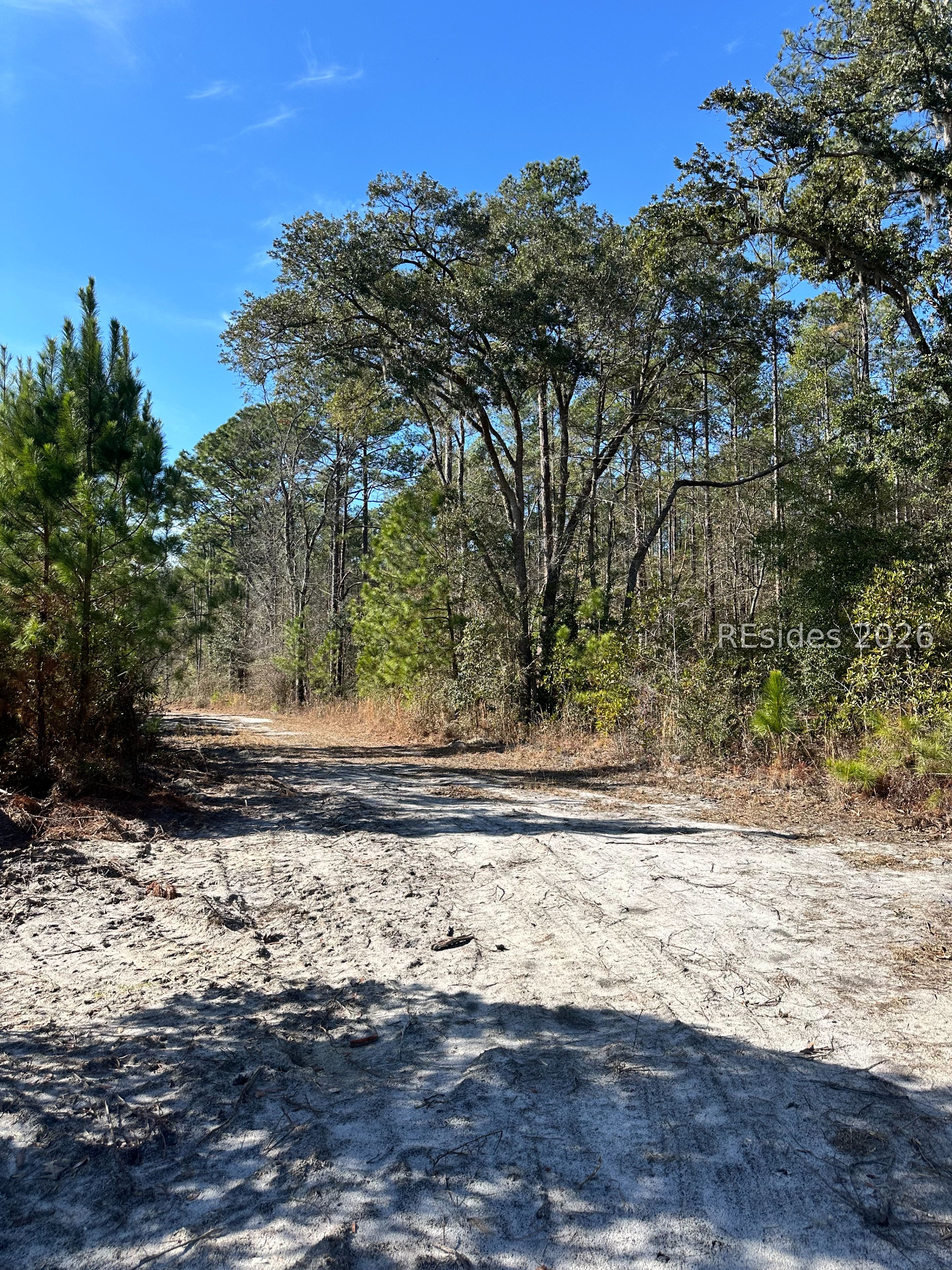 0 Spring Field Plantation Drive Ridgeland, SC 29936 - Photo 8 of 15