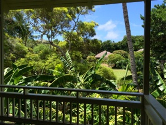 2330 Ho'ohu Road, Unit 13 Koloa, HI 96756 - Photo 4 of 24 Gallery Image 4