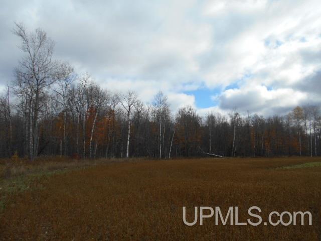 Tbd Dream Lake Road Florence, WI 54121 - Photo 2 of 10