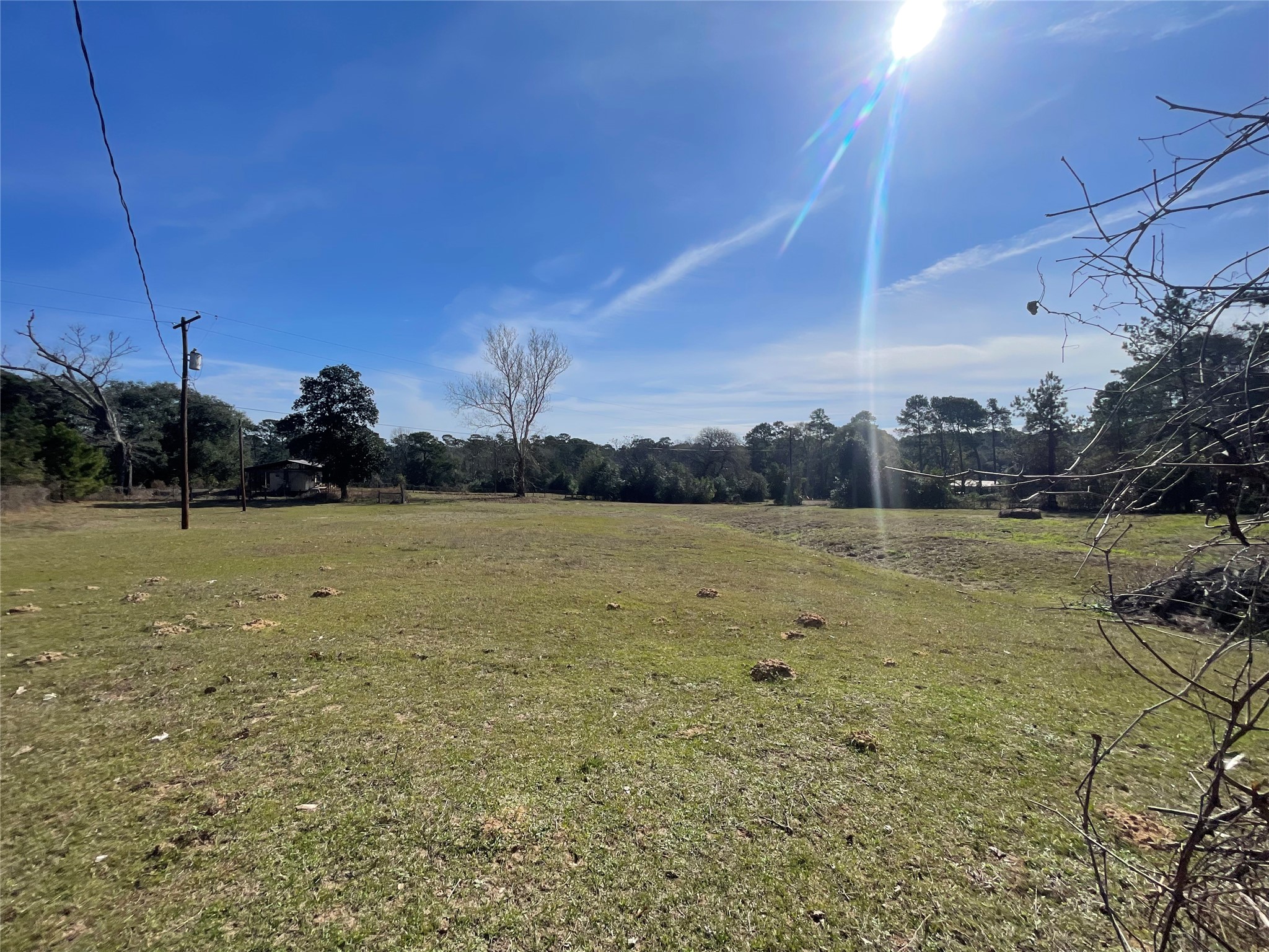 490 Cemetery Road Coldspring, TX 77331 - Photo 20 of 24 Beautiful pastures ready for livestock!