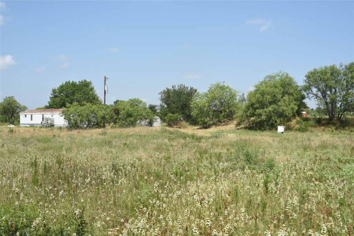 a view of a field of grass and trees