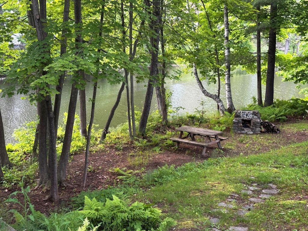 10 Burleigh Street Waterville, ME 04901 - Photo 4 of 41 Picnic area