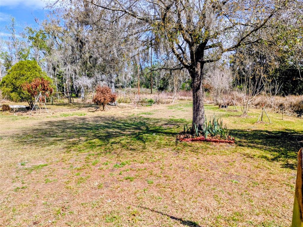 1142 Doc Coil Road Bowling Green, FL 33834 - Photo 15 of 27 a view of a yard with a tree