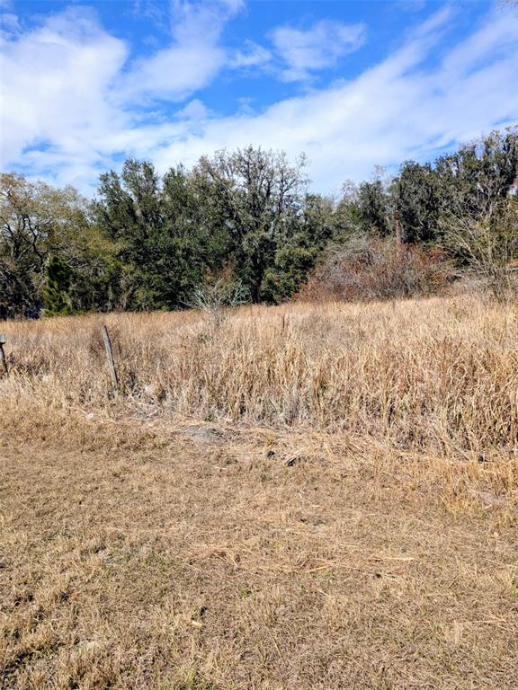 1142 Doc Coil Road Bowling Green, FL 33834 - Photo 16 of 27