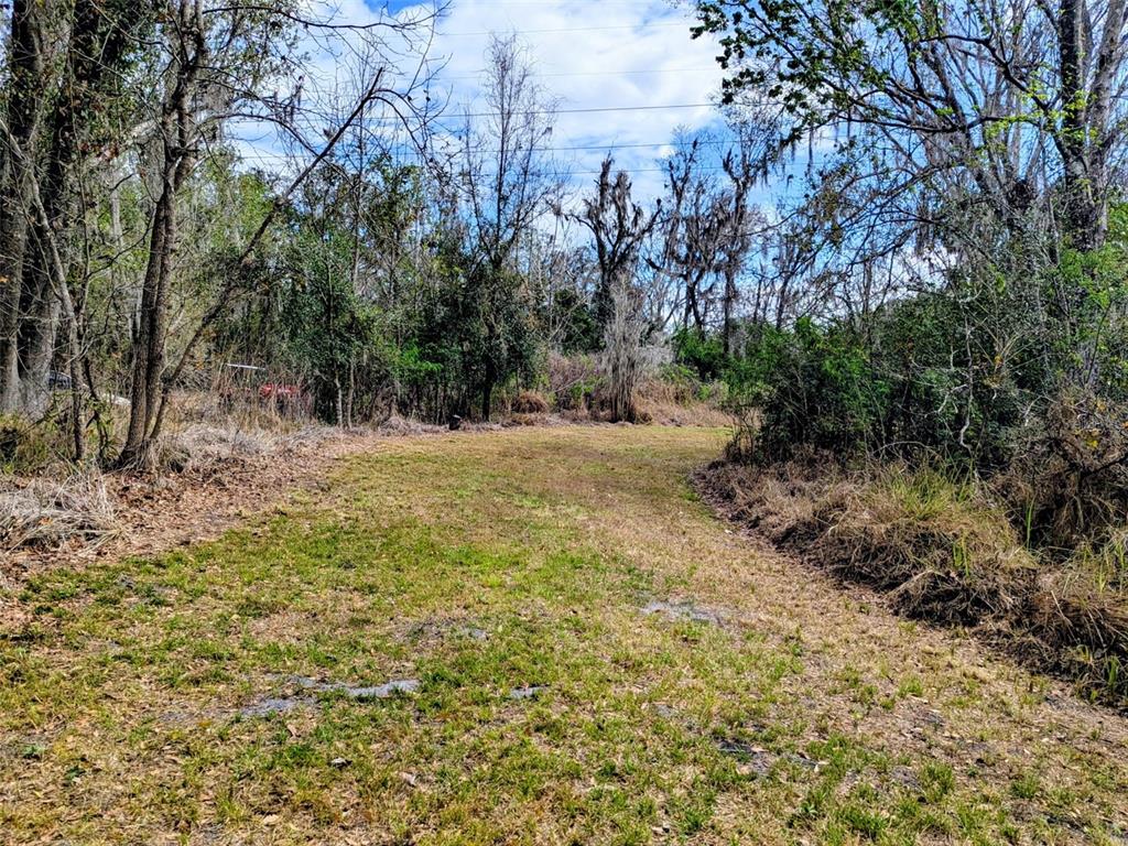 1142 Doc Coil Road Bowling Green, FL 33834 - Photo 17 of 27 a view of dirt field with trees in the background