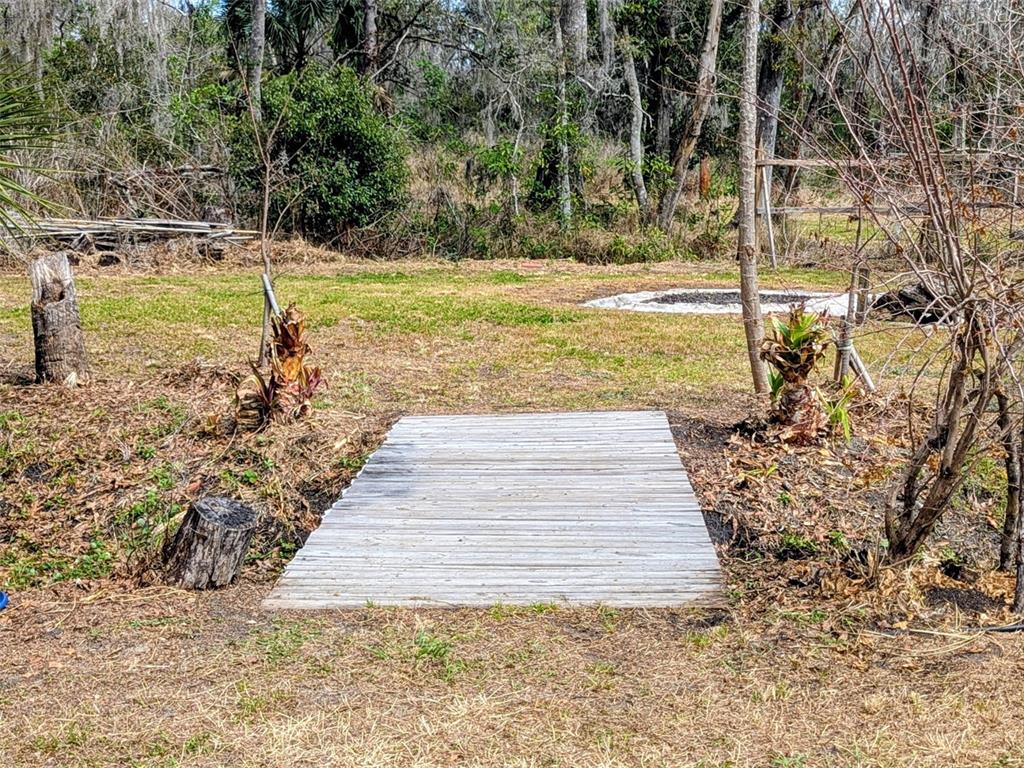 1142 Doc Coil Road Bowling Green, FL 33834 - Photo 18 of 27 a view of a yard with an trees