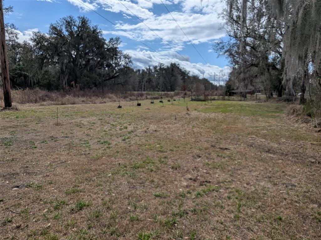 1142 Doc Coil Road Bowling Green, FL 33834 - Photo 20 of 27 a view of a dry yard with trees