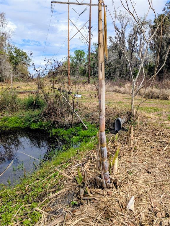 1142 Doc Coil Road Bowling Green, FL 33834 - Photo 24 of 27 a view of a garden with a lake view