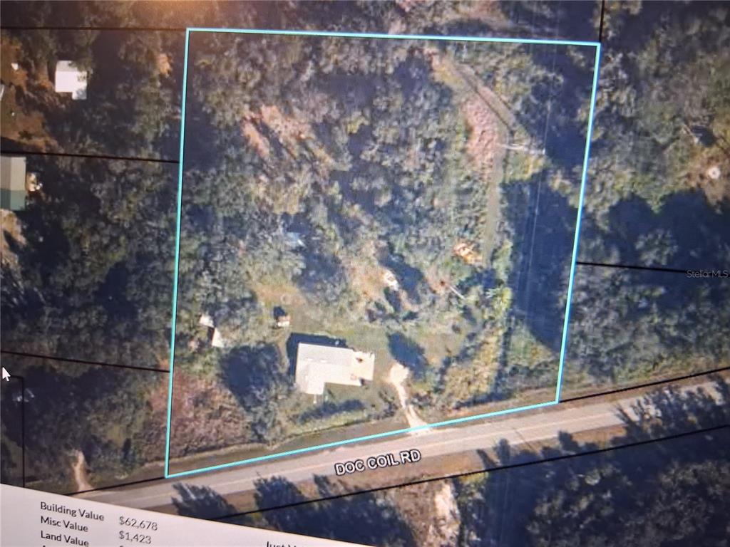 1142 Doc Coil Road Bowling Green, FL 33834 - Photo 26 of 27 a view of a door with a tree