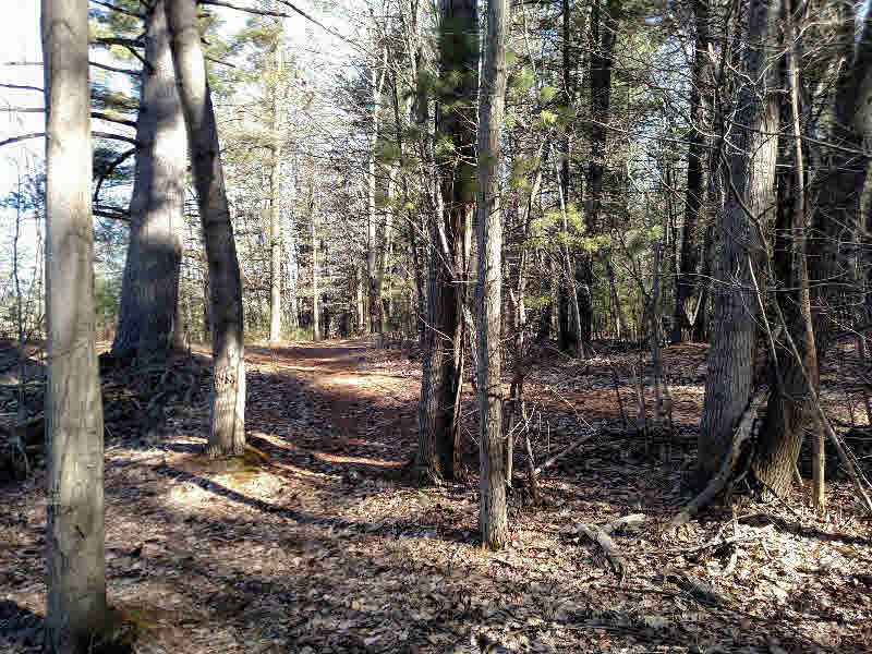 0 West Pinconning Road Rhodes, MI 48652 - Photo 4 of 6