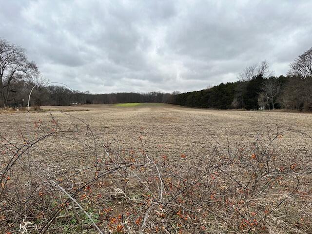 0 Clear Lake Road, Unit PARCEL A Grass Lake, MI 49240 - Photo 2 of 3 IMG_6785