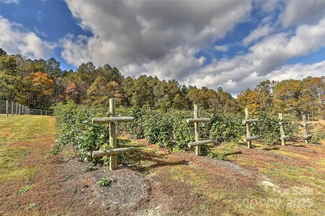 $17,500,000 | 153 Badenyon Place, Union Grove, NC 28689