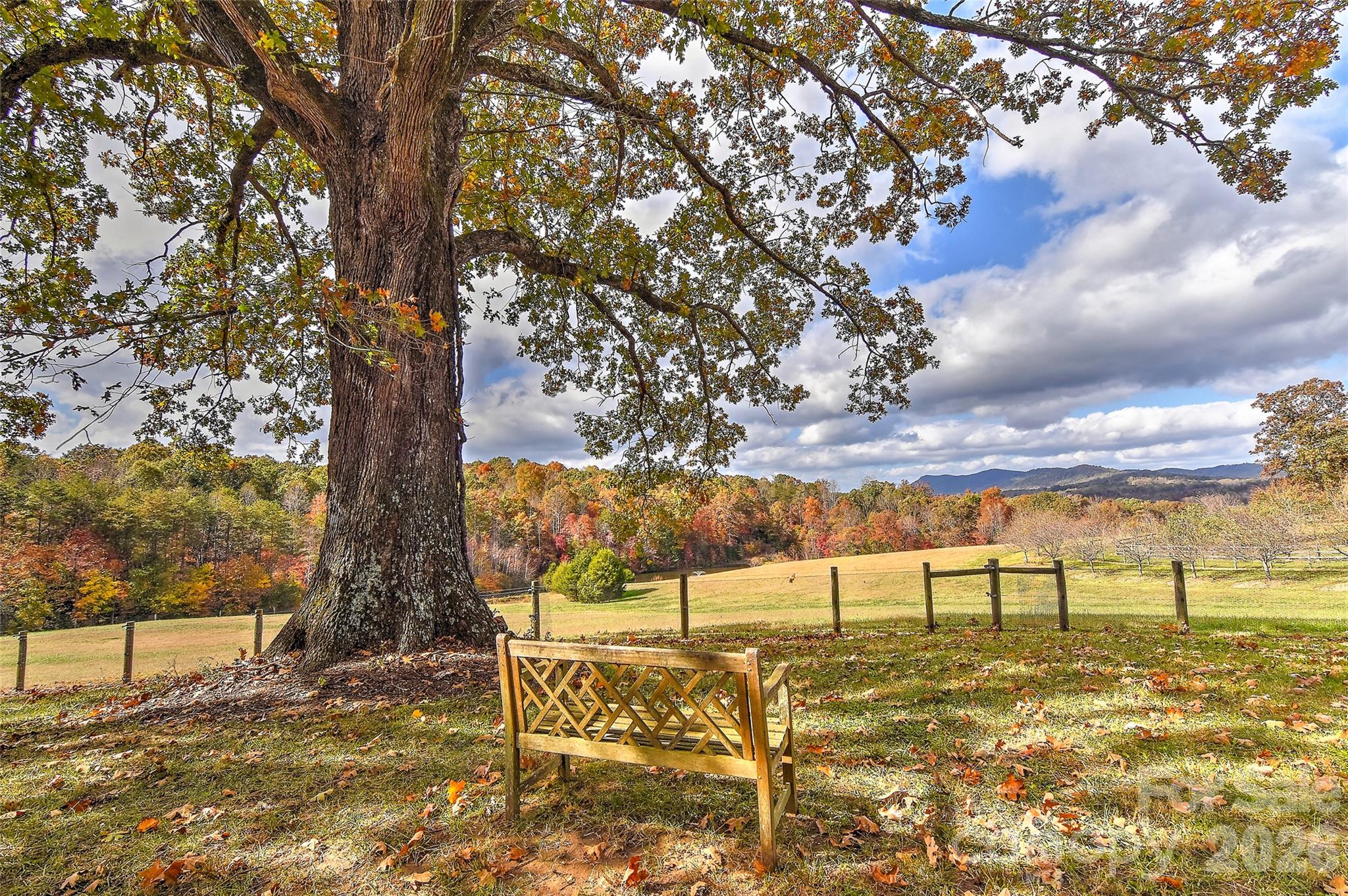 153 Badenyon Place Union Grove, NC 28689 - Photo 41 of 48