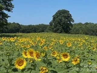 $17,500,000 | 153 Badenyon Place, Union Grove, NC 28689