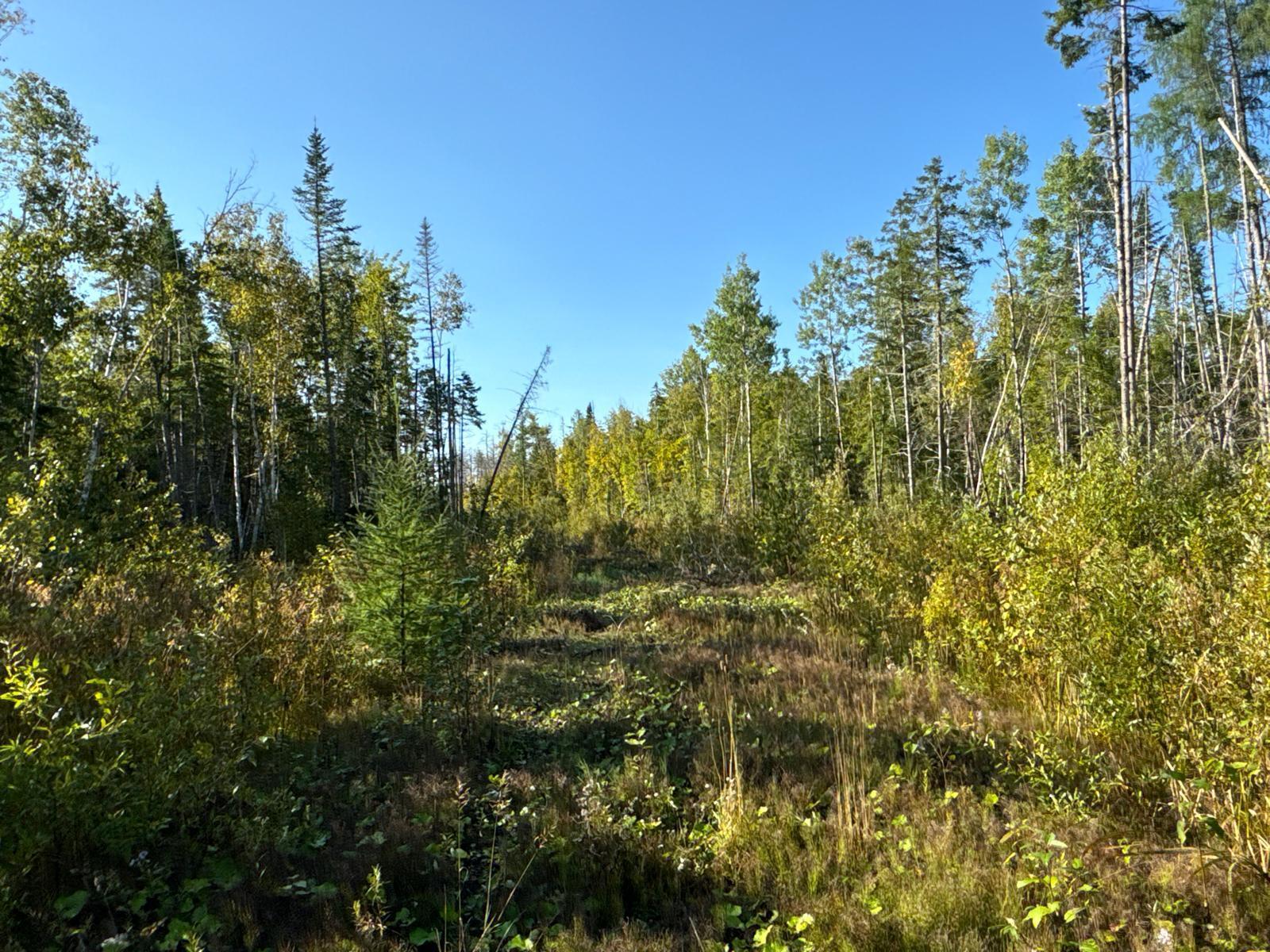 M8-l16 Grendell Road Mapleton, ME 04757 - Photo 8 of 9 Land
