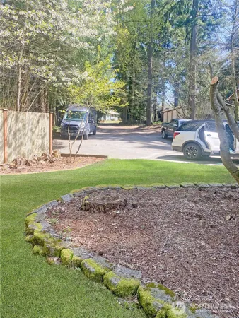 a view of a park with large trees