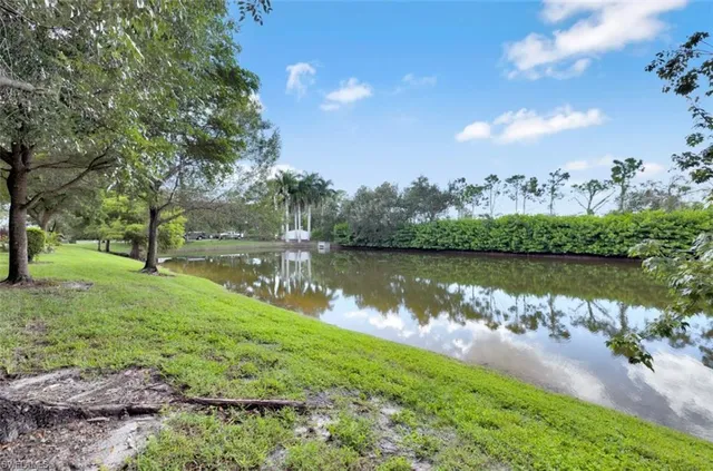 a view of a garden with plants