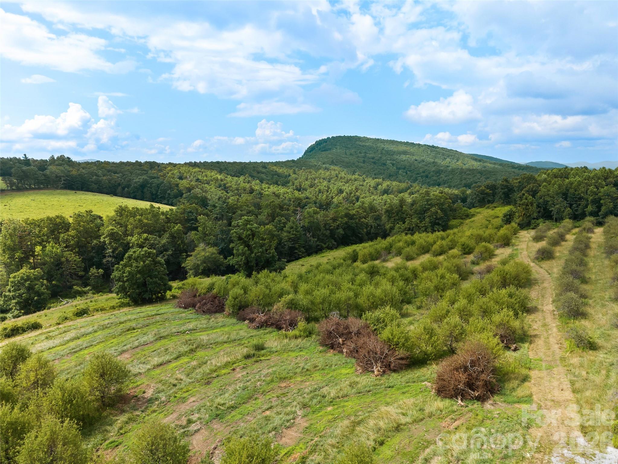 0 Summer Road, Unit 5 Hendersonville, NC 28792 - Photo 7 of 20
