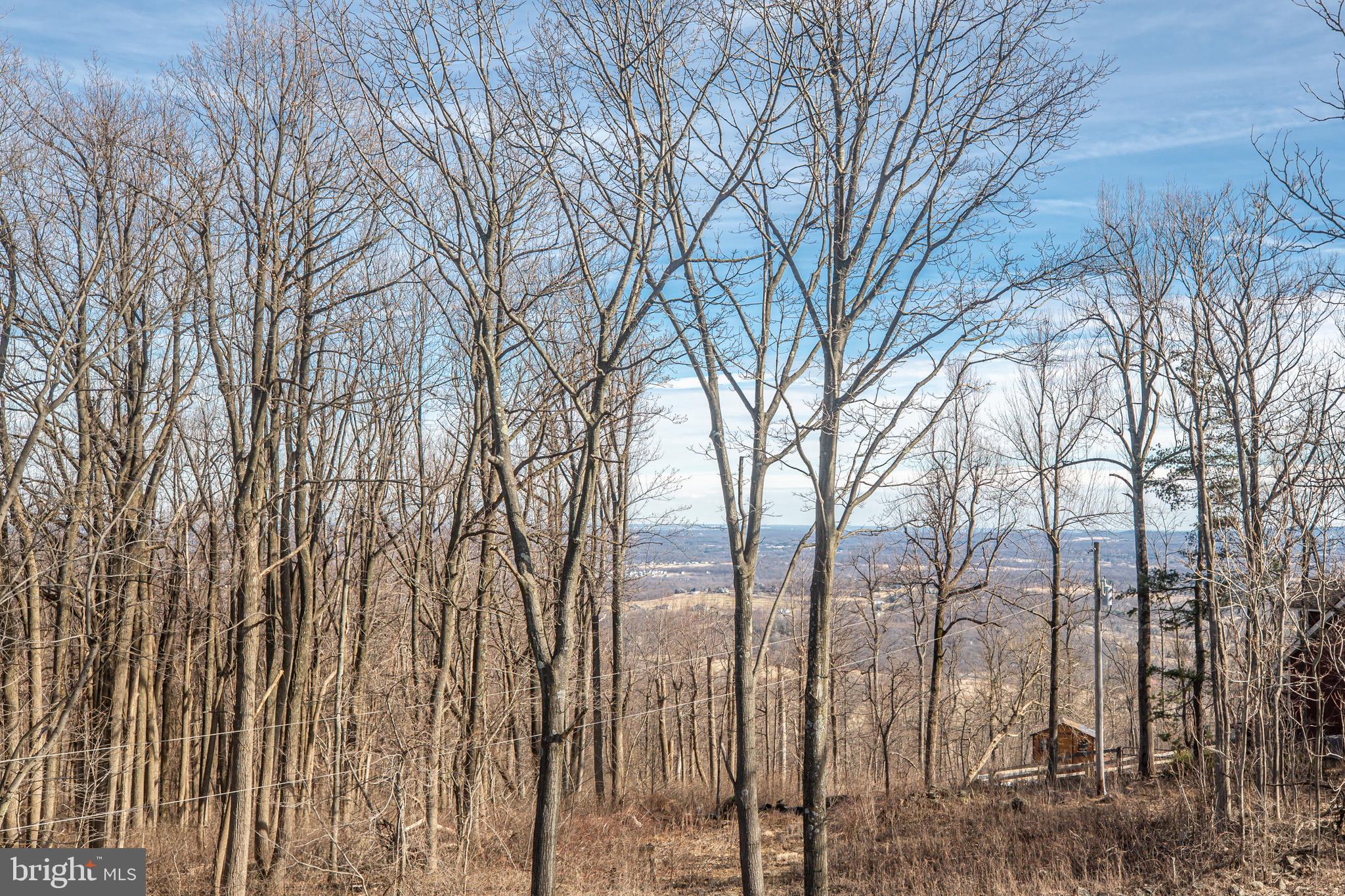 17345 Raven Rocks Road Bluemont, VA 20135 - Photo 86 of 99