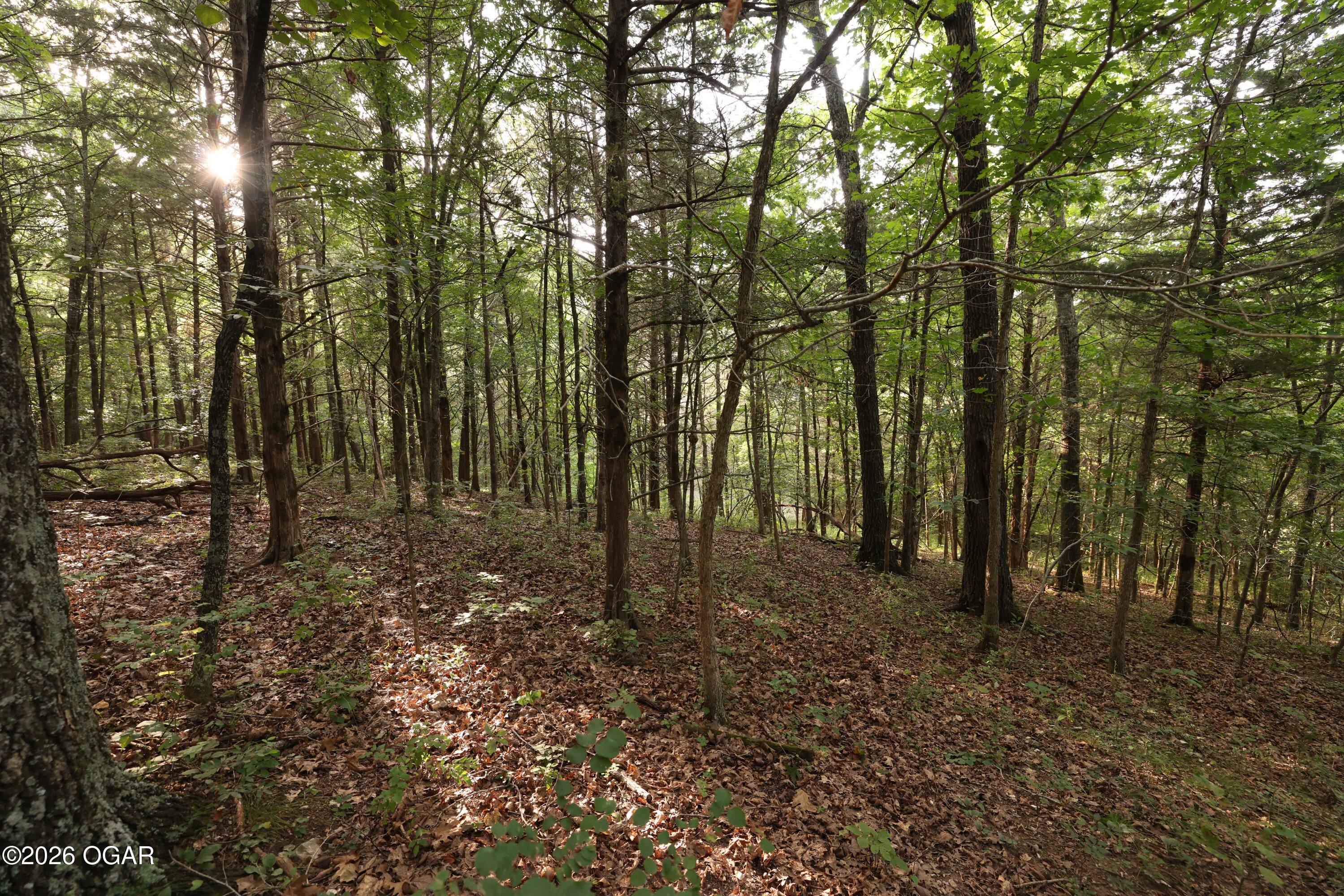 861 Tilden Road Galena, MO 65656 - Photo 26 of 67 Gallery Image 26