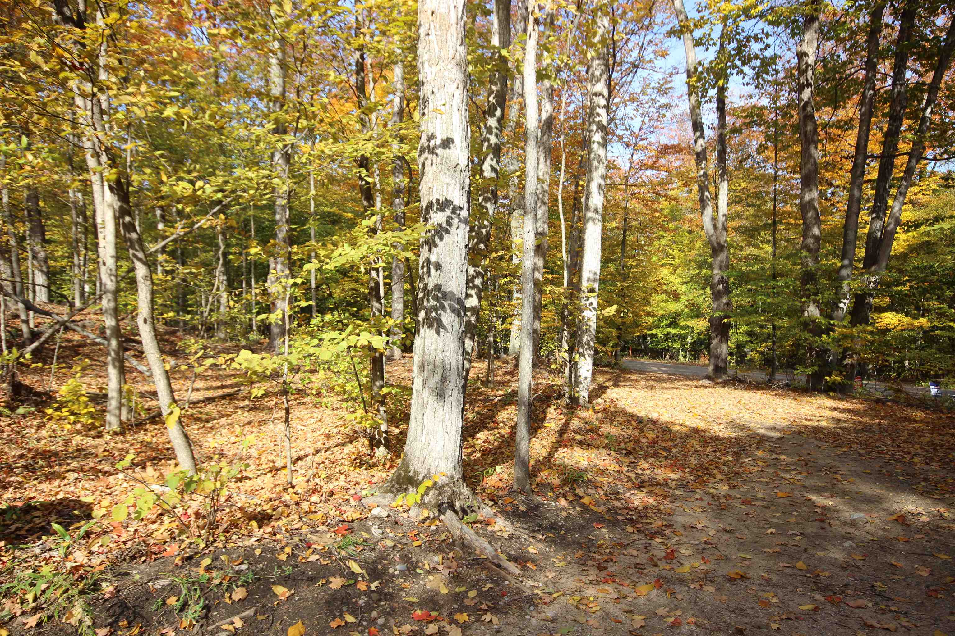 3722 Swaney Road Traverse City, MI 49686 - Photo 48 of 52 Gallery Image 48