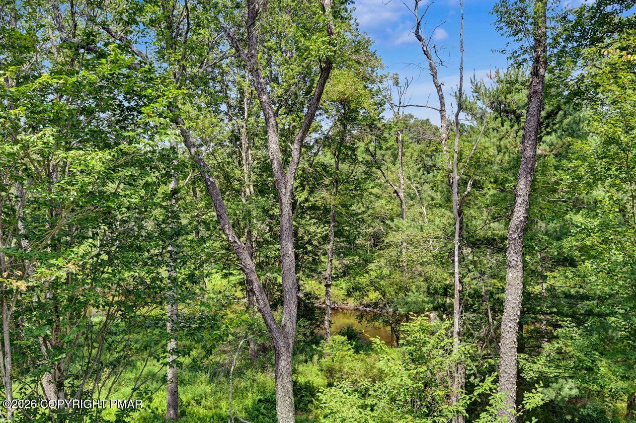 2016 Locust Ridge Road Pocono Lake, PA 18347 - Photo 78 of 82 a view of a forest that has a tree