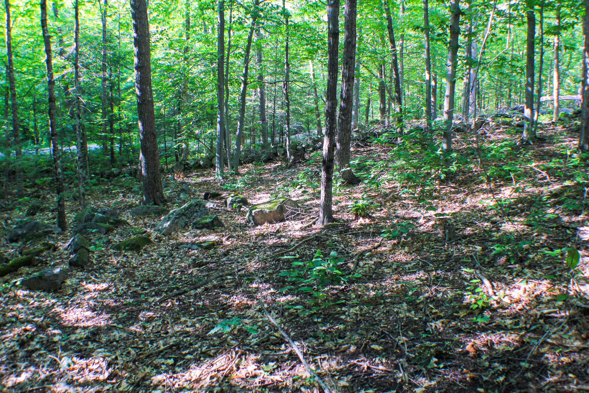 L11-12 Birch Estates Rome, ME 04963 - Photo 48 of 59 IMG_7483