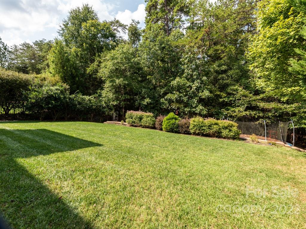 5711 Morris Hunt Drive Fort Mill, SC 29708 - Photo 34 of 43 a view of a big yard with plants and large trees