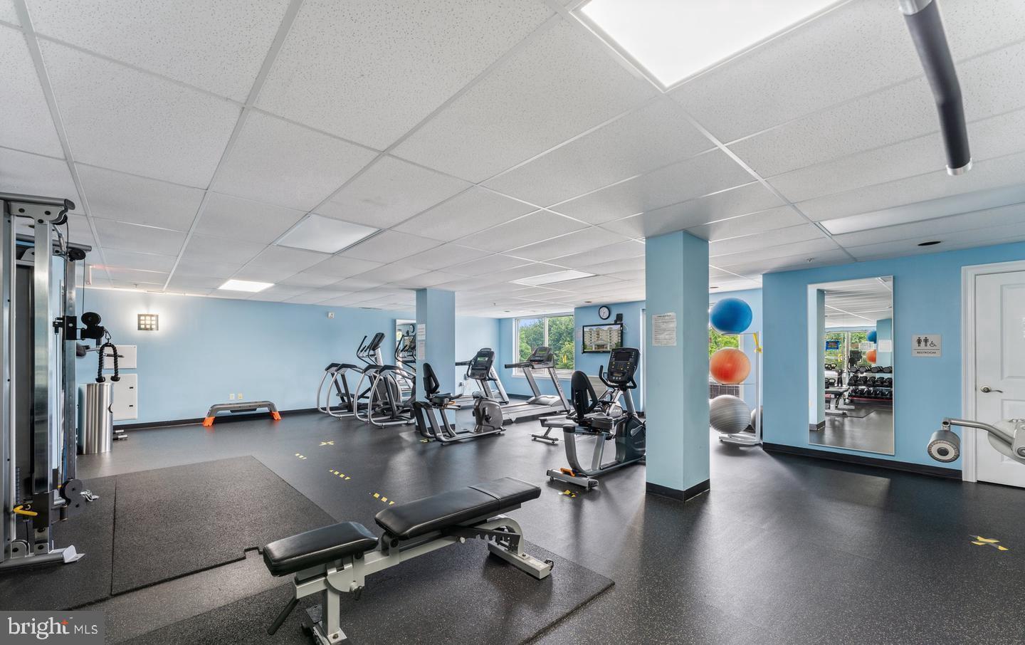 6301 Edsall Road, Unit 123 Alexandria, VA 22312 - Photo 25 of 36 Bright and spacious fitness center oasis.