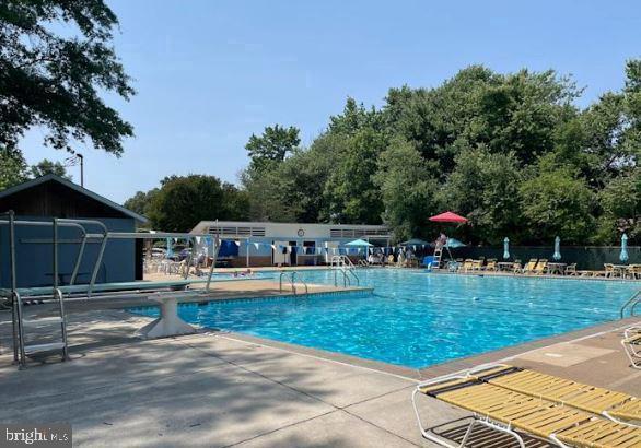 6301 Edsall Road, Unit 123 Alexandria, VA 22312 - Photo 30 of 36 Sunny poolside retreat surrounded by greenery.