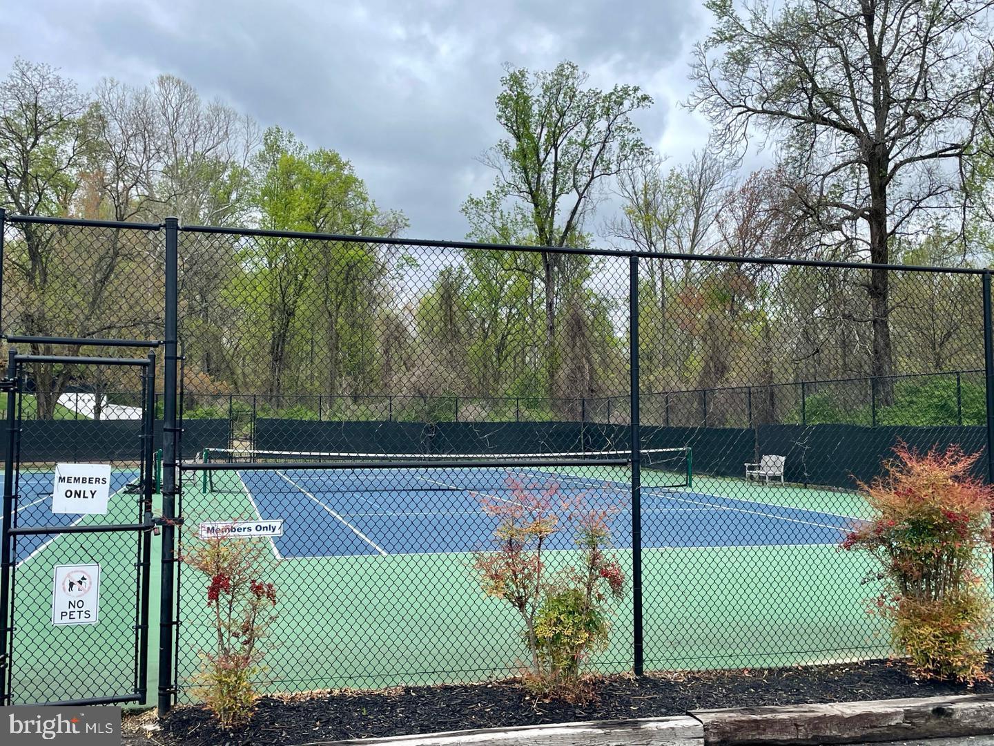 6301 Edsall Road, Unit 123 Alexandria, VA 22312 - Photo 33 of 36 Serene tennis courts amidst lush greenery.
