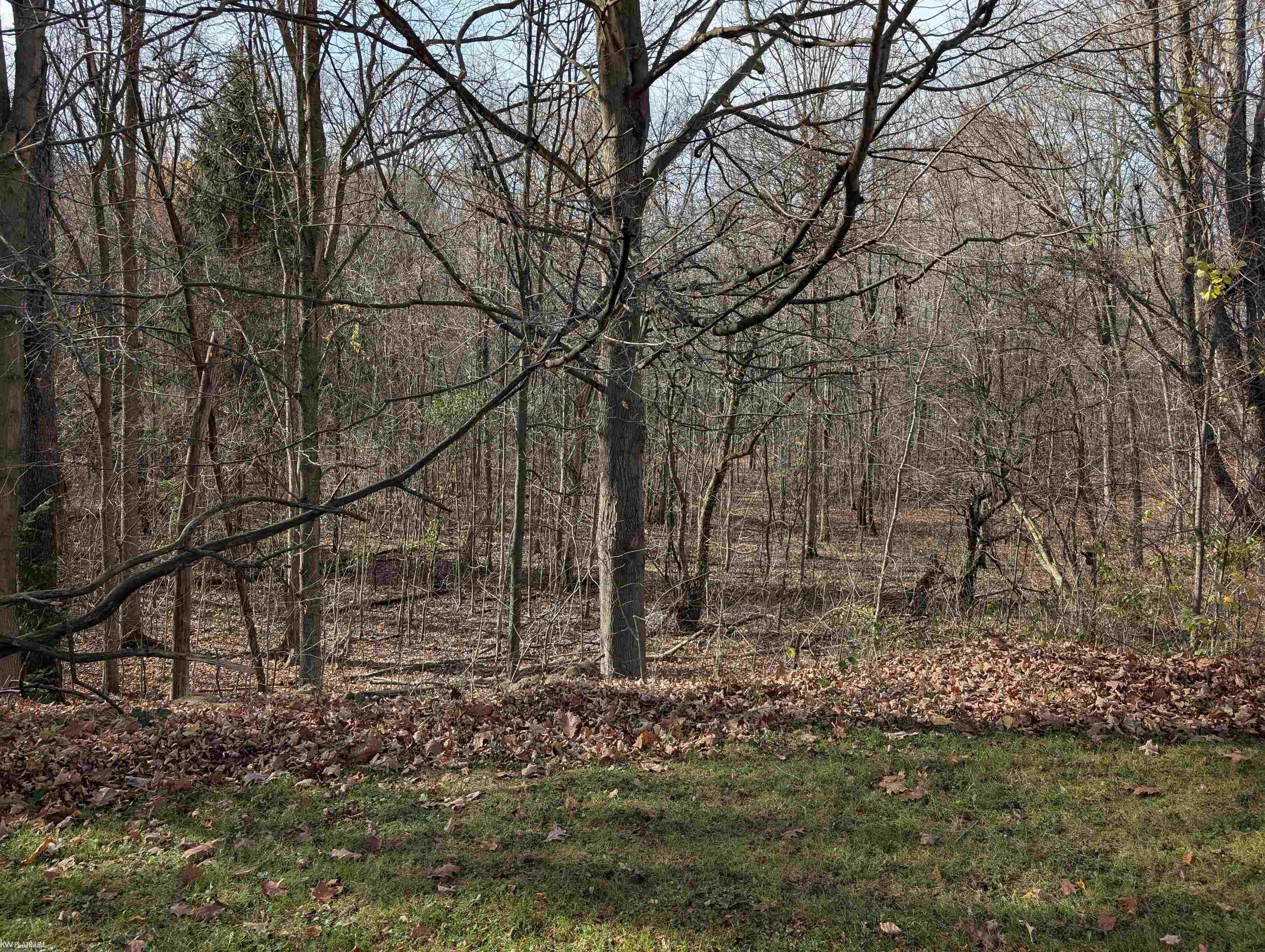 79235 Memphis Ridge Road Richmond, MI 48062 - Photo 15 of 55 50161122-2e136b8d-55f6-49fc-84ee-59819ae97cba.JPG