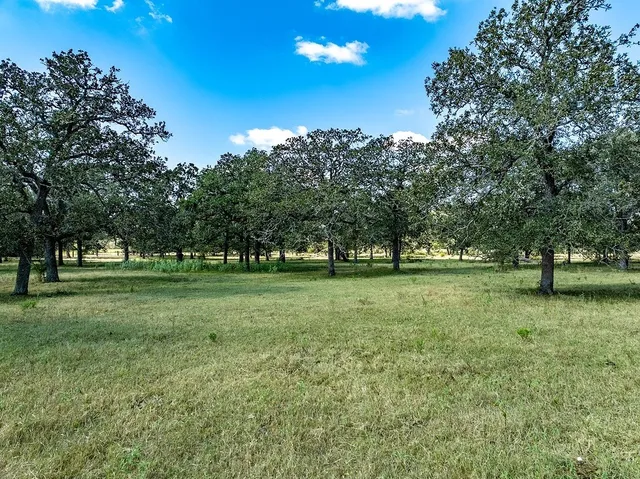 $775,910 | Tbd O Quinn Branch Road, La Grange, TX 78945