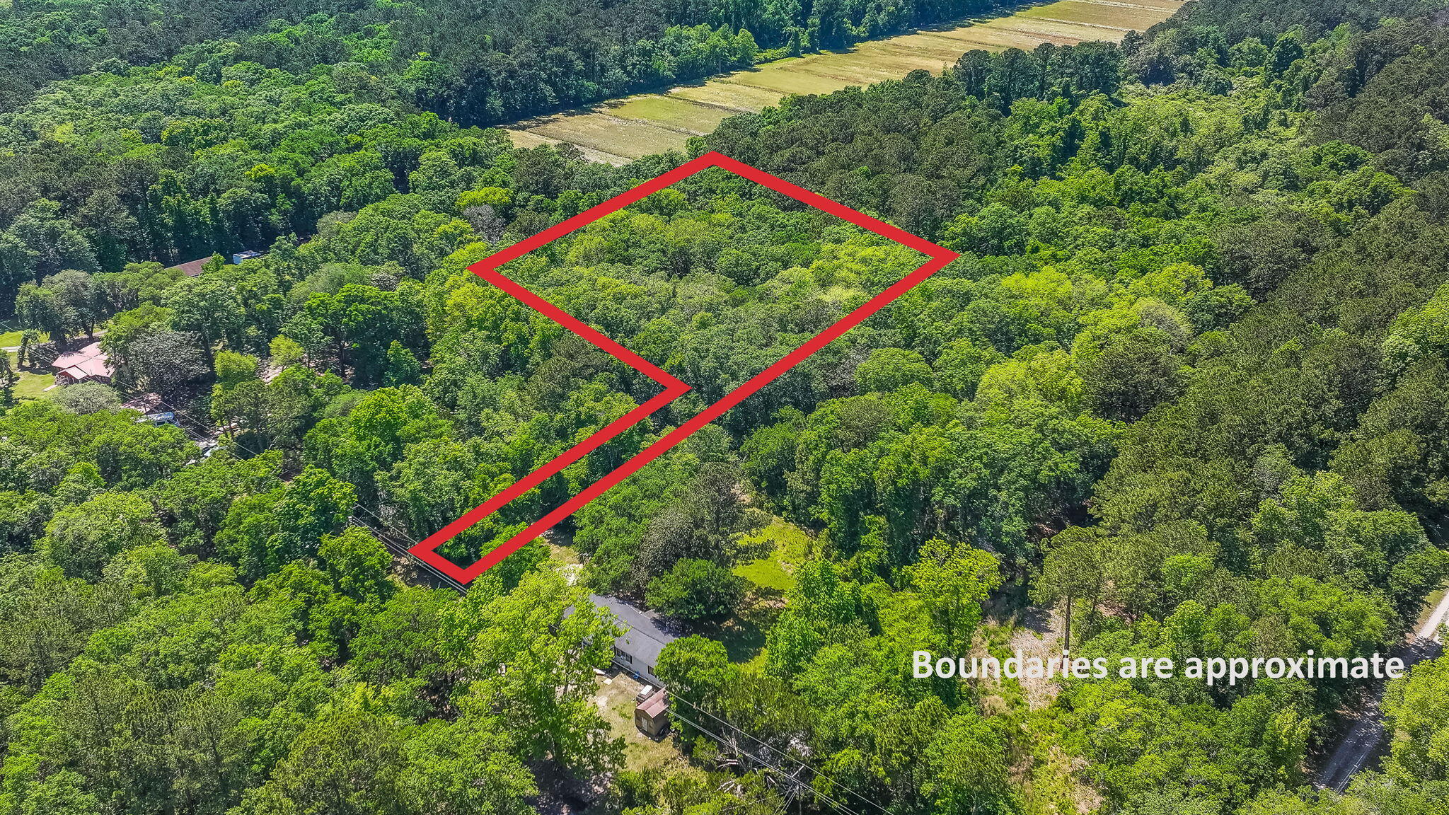 0 Steamboat Landing Road Edisto Island, SC 29438 - Photo 5 of 10 5