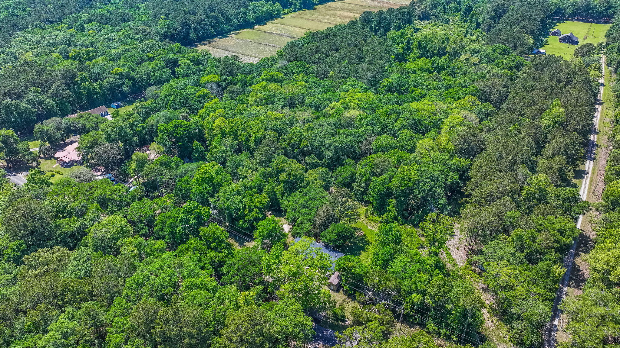 0 Steamboat Landing Road Edisto Island, SC 29438 - Photo 8 of 10 8