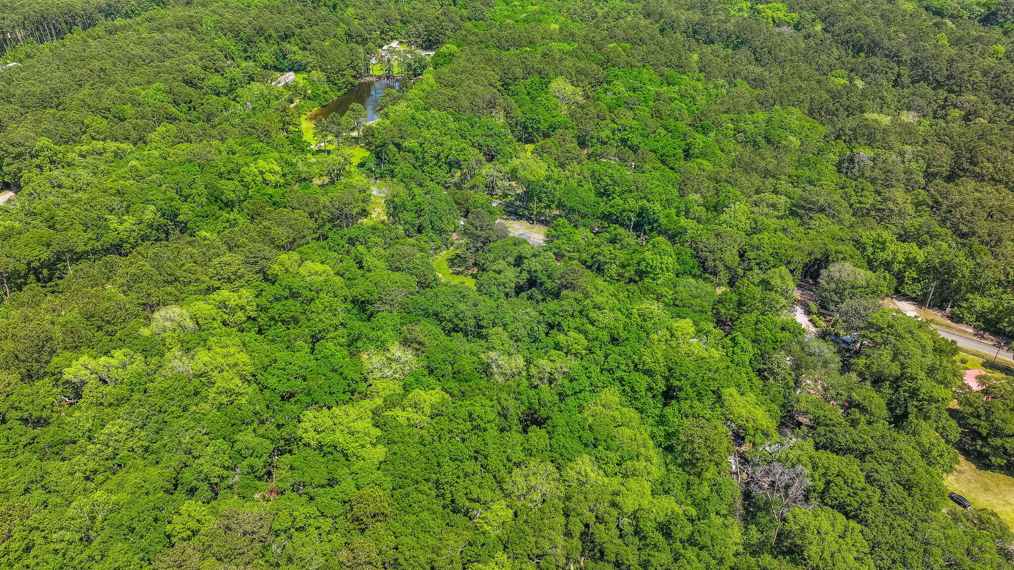 0 Steamboat Landing Road Edisto Island, SC 29438 - Photo 10 of 10 10