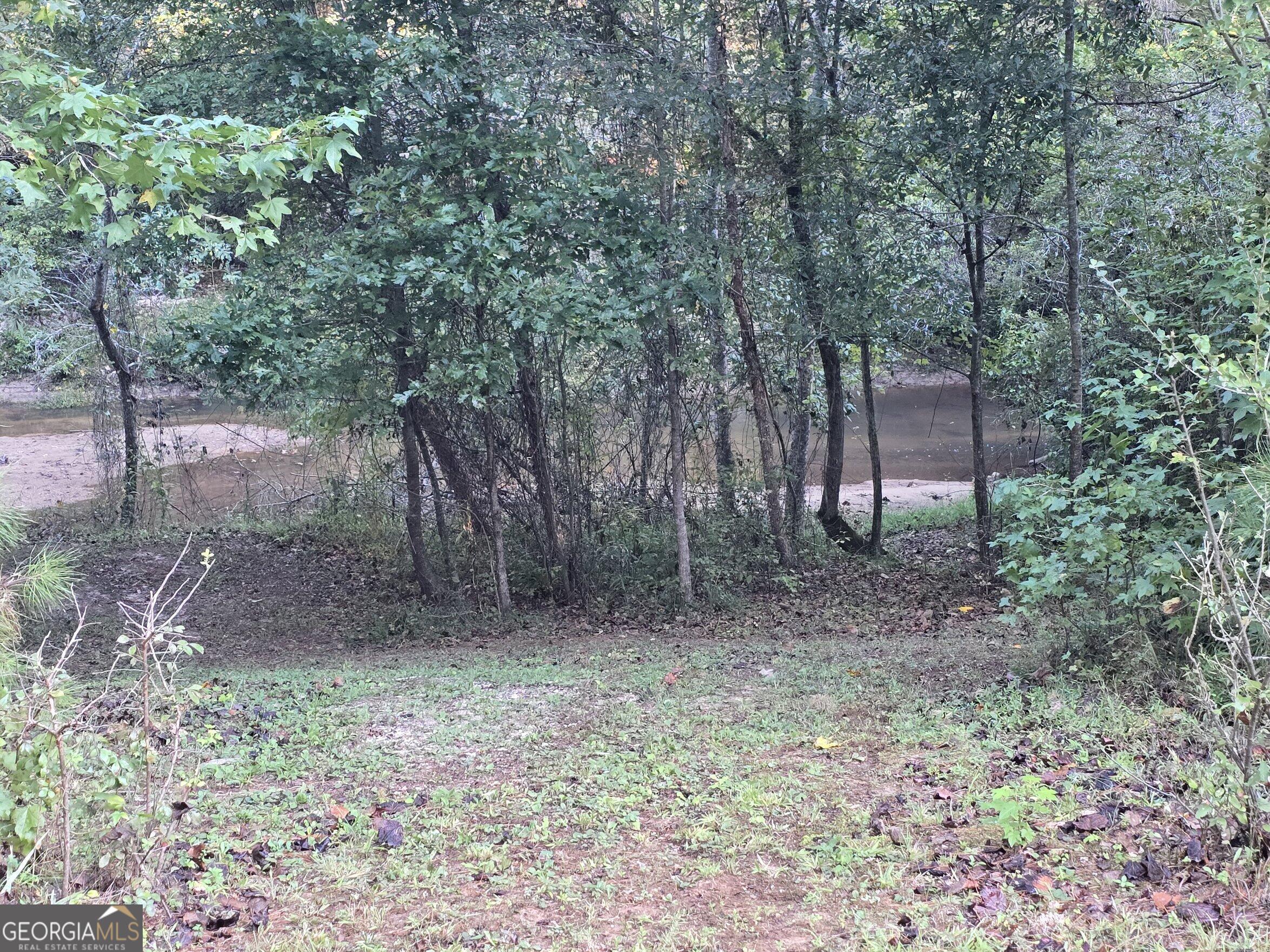 7680 Banks Mill Road Winston, GA 30187 - Photo 37 of 46