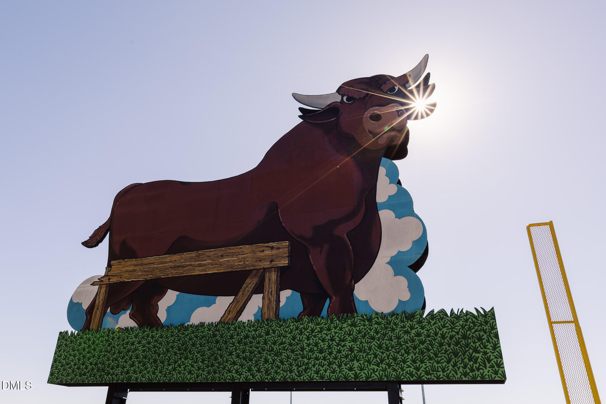 1101 Camden Avenue, Unit E Durham, NC 27701 - Photo 20 of 22 Best of the Bull