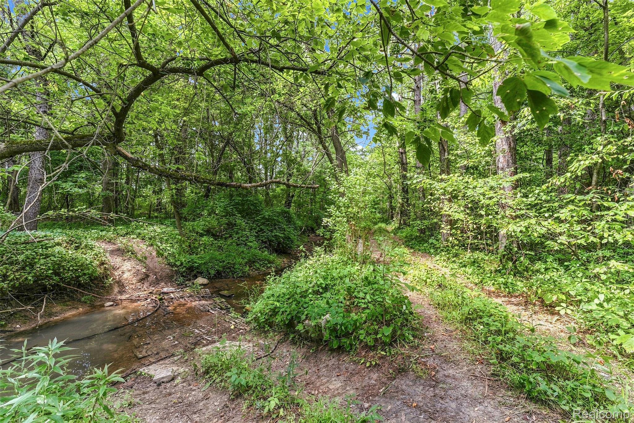 6163 North State Road Davison, MI 48423 - Photo 45 of 45 Wooded property featuring mature trees, lush foliage, a natural creek, and a winding dirt path